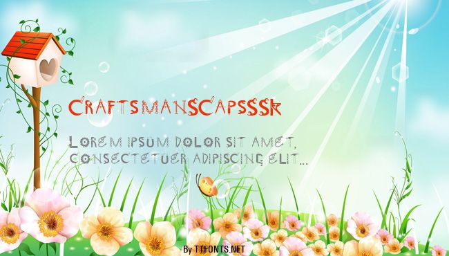 CraftsmanSCapsSSK example