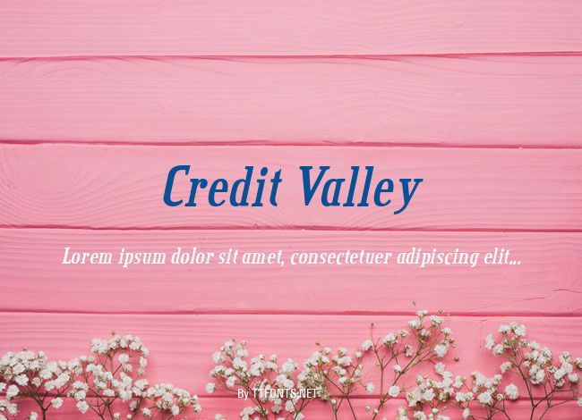 Credit Valley example