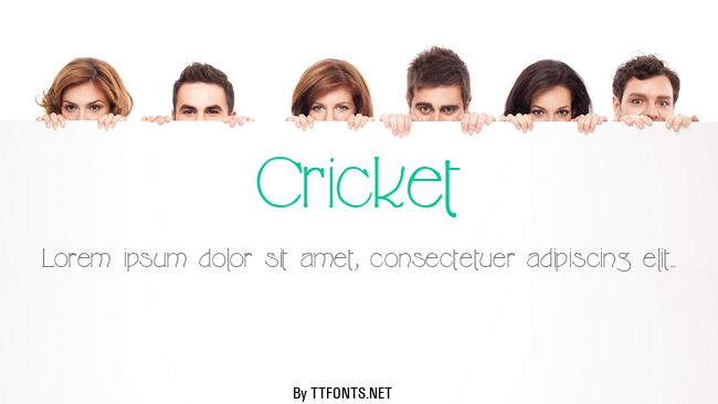 Cricket example