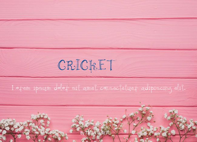 CRICKET_ example