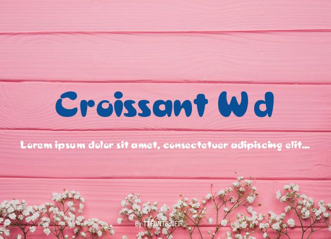 Croissant Wd example