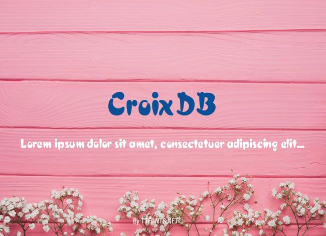 CroixDB example