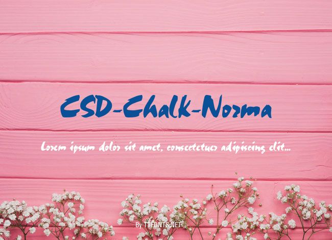 CSD-Chalk-Norma example