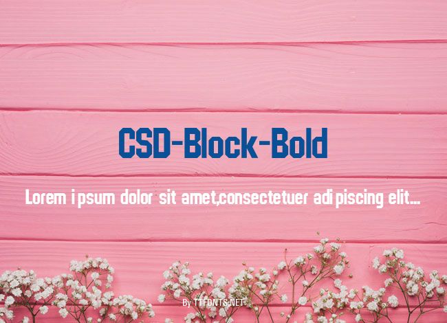 CSD-Block-Bold example