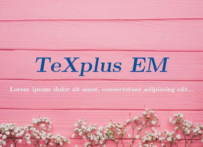 TeXplus EM example