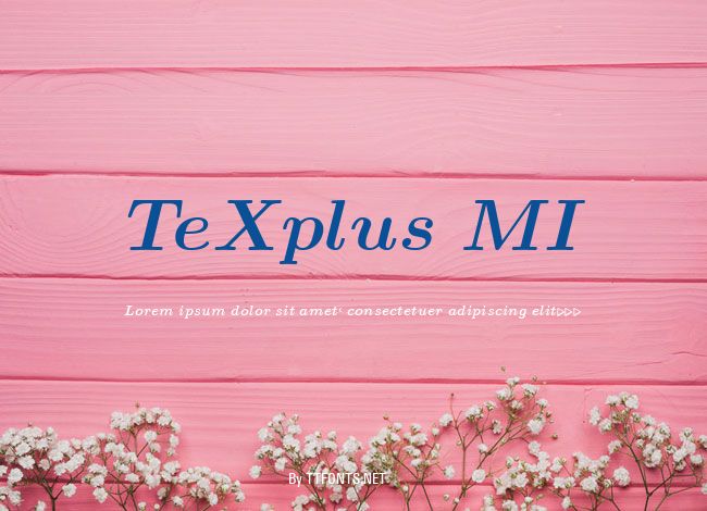TeXplus MI example