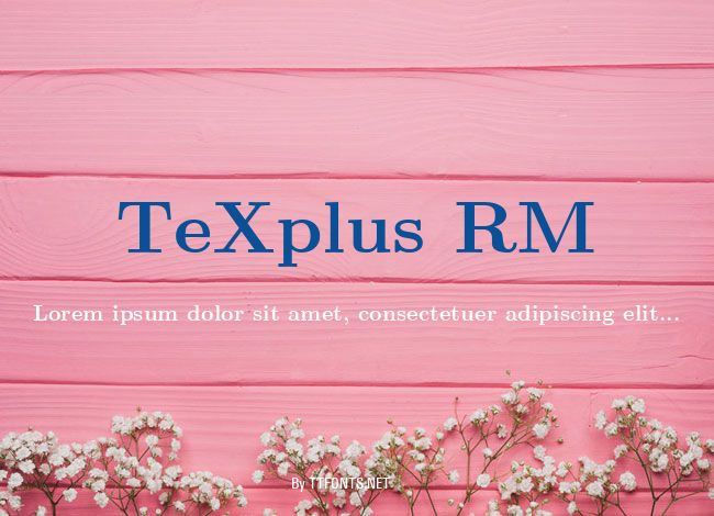 TeXplus RM example