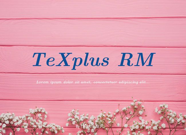 TeXplus RM example