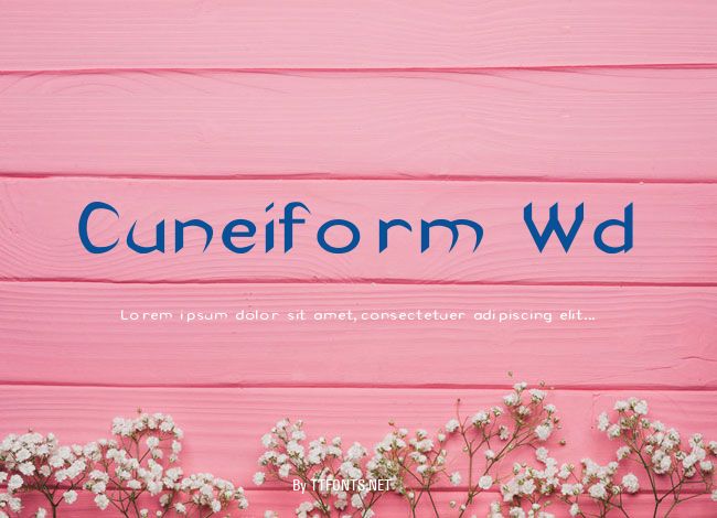Cuneiform Wd example