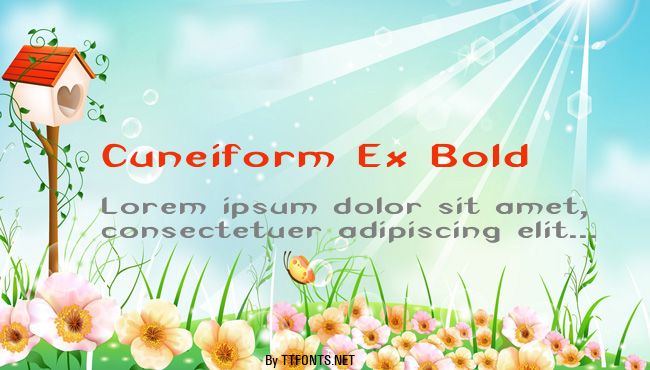 Cuneiform Ex Bold example