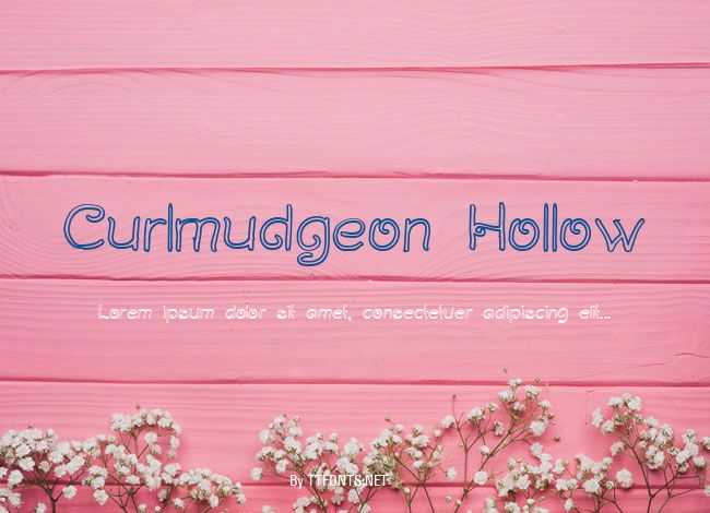 Curlmudgeon Hollow example