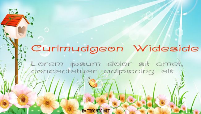 Curlmudgeon Wideside example