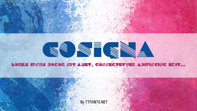 Cosigna example