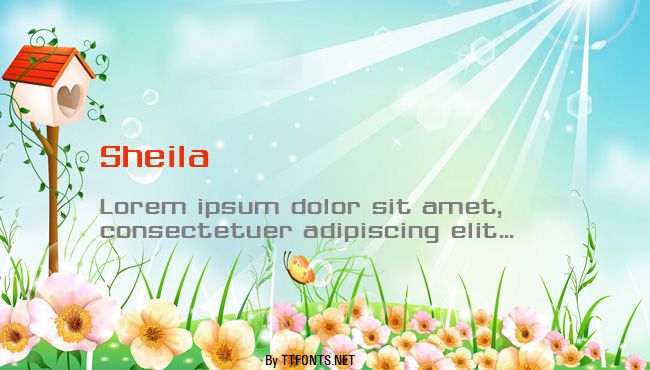 Sheila example