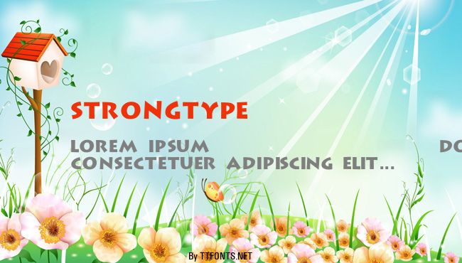 Strongtype example