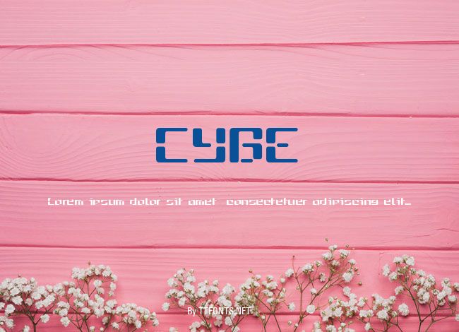 CYBE example