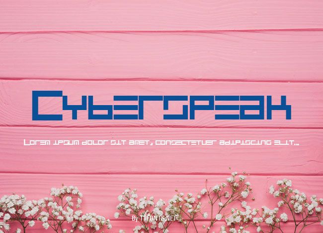 Cyberspeak example