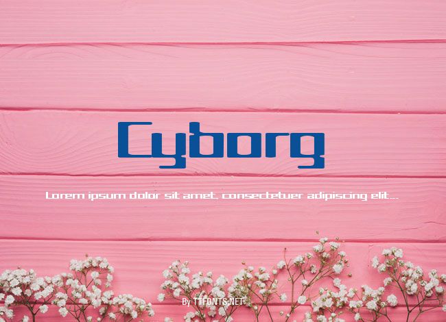 Cyborg example
