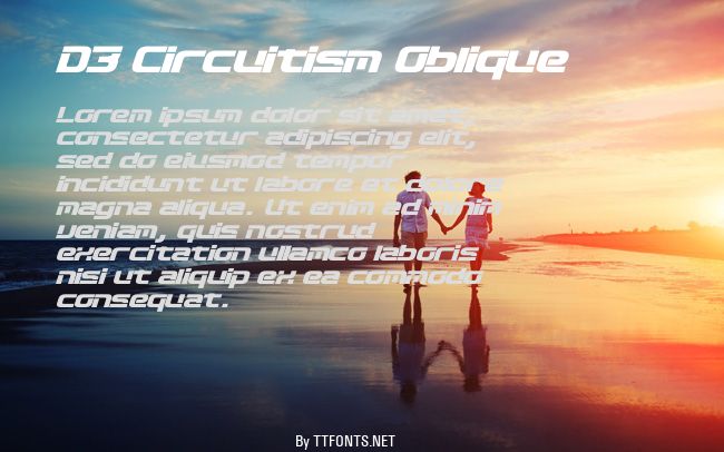 D3 Circuitism Oblique example