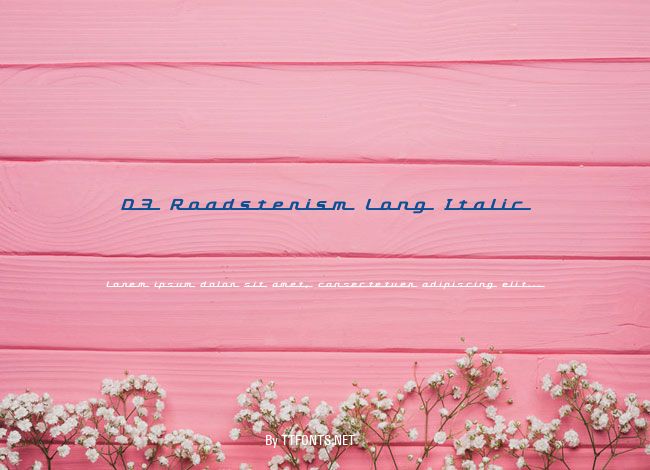 D3 Roadsterism Long Italic example