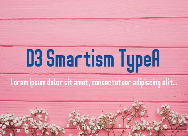 D3 Smartism TypeA example