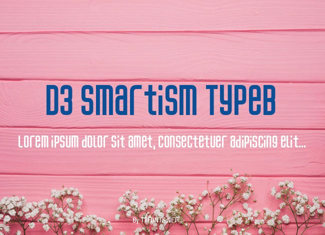 D3 Smartism TypeB example