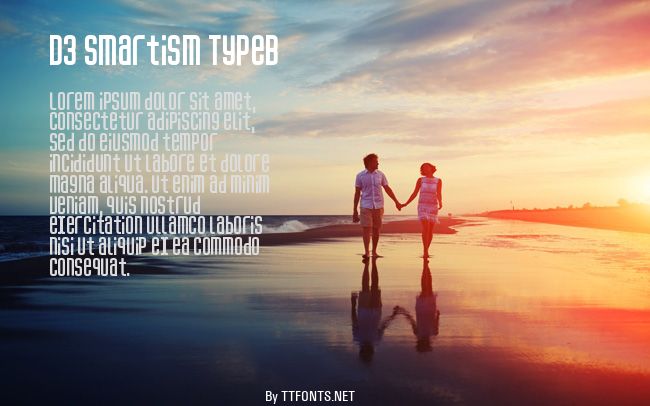D3 Smartism TypeB example