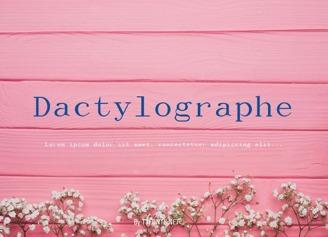 Dactylographe example