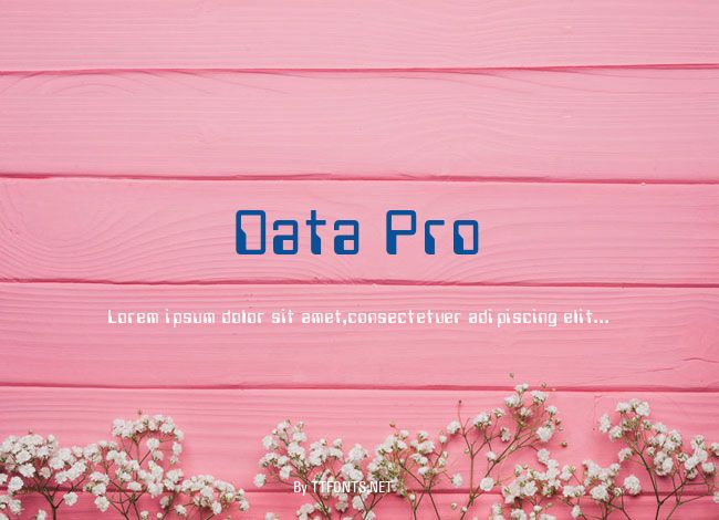 Data Pro example