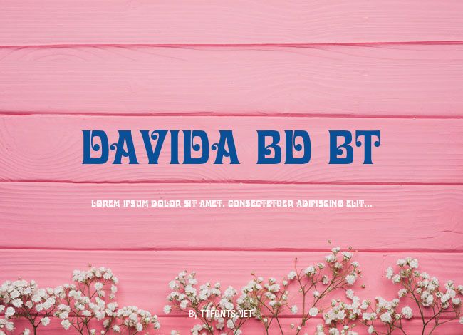 Davida Bd BT example