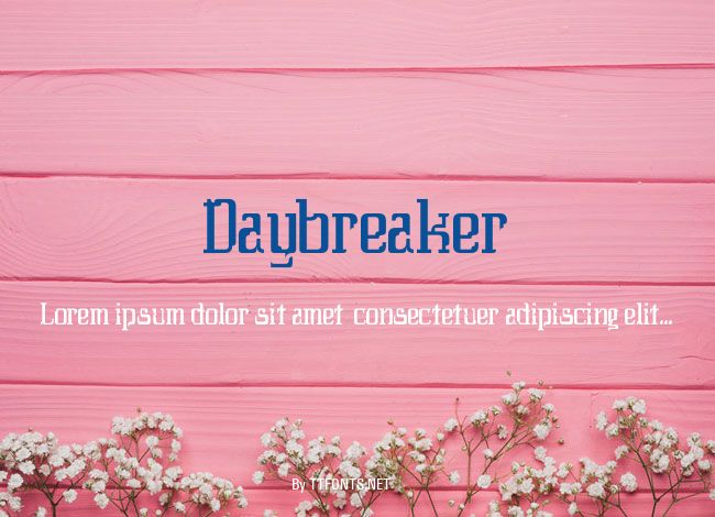 Daybreaker example