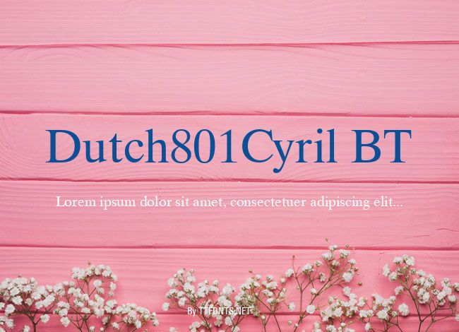 Dutch801Cyril BT example