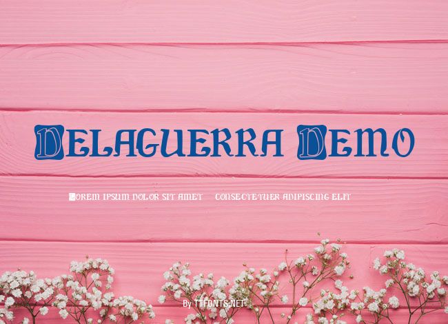 Delaguerra Demo example