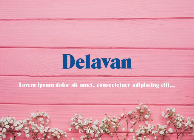 Delavan example