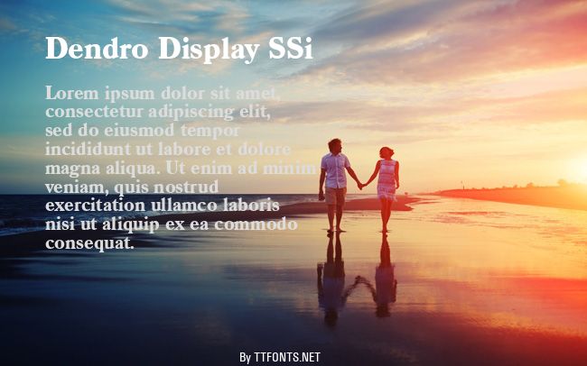 Dendro Display SSi example