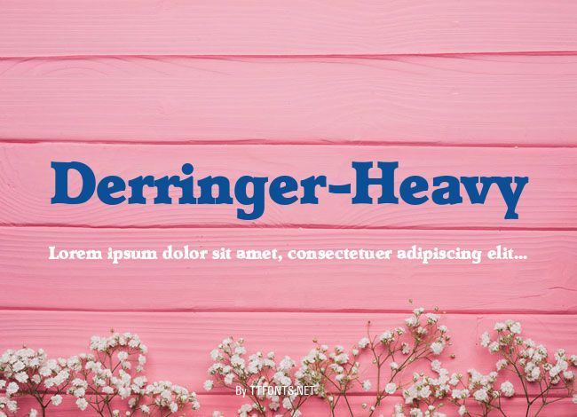 Derringer-Heavy example
