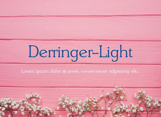 Derringer-Light example