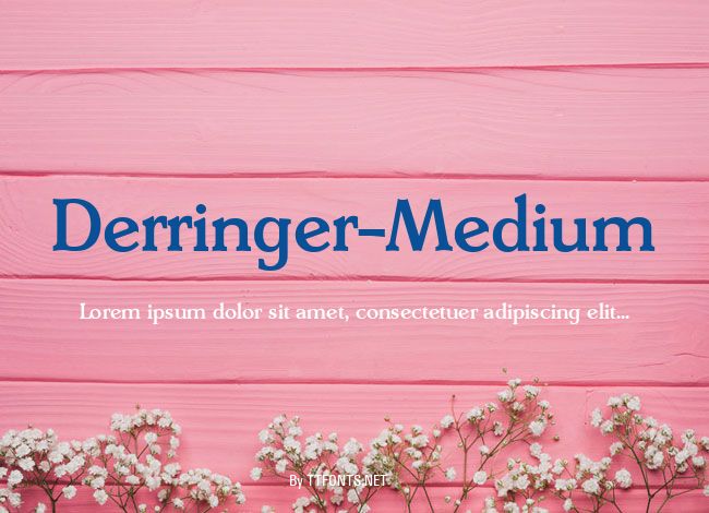 Derringer-Medium example