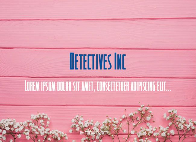 Detectives Inc example