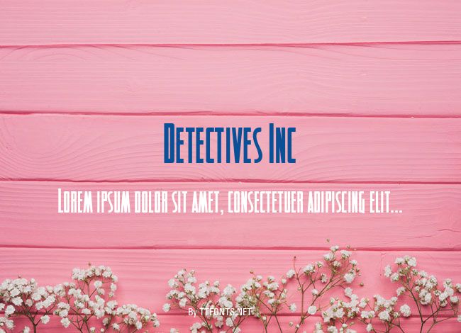 Detectives Inc example