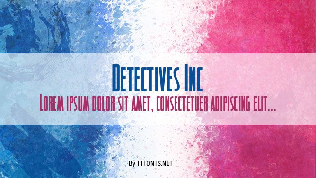 Detectives Inc example