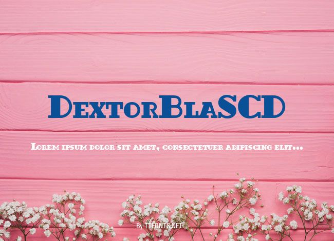 DextorBlaSCD example