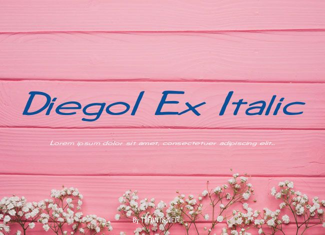 Diego1 Ex Italic example