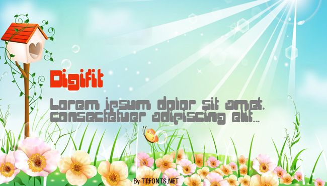 Digifit example