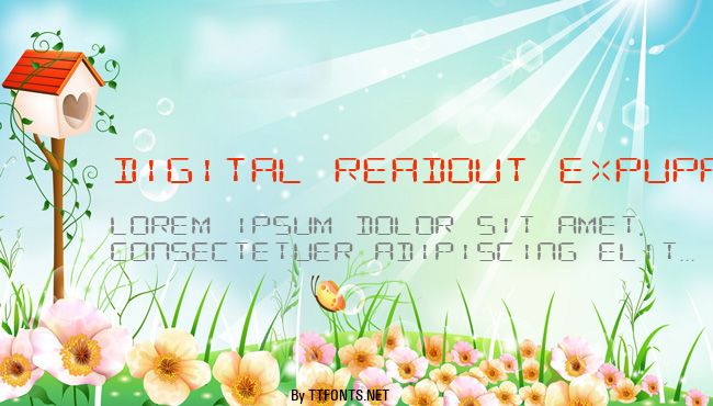 Digital Readout ExpUpright example