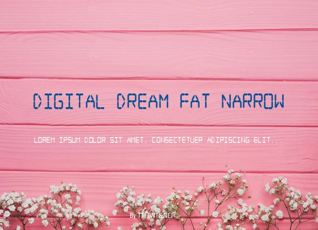 Digital dream Fat Narrow example