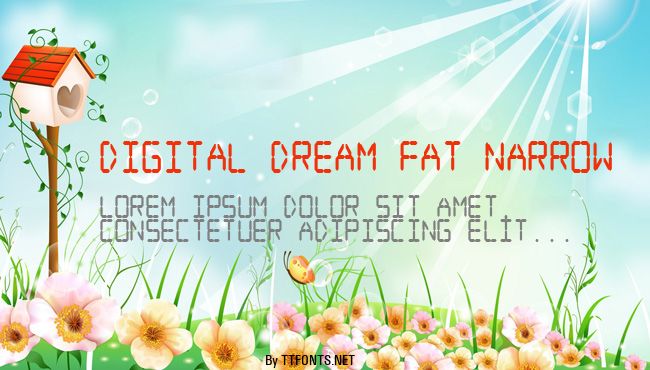 Digital dream Fat Narrow example