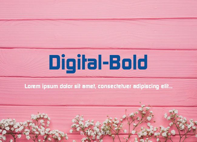 Digital-Bold example