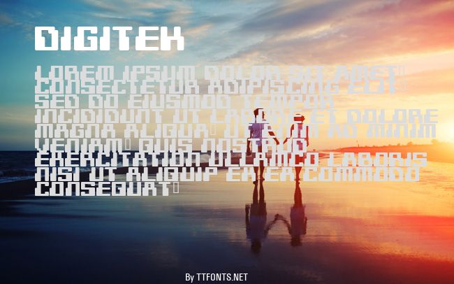 Digitek example