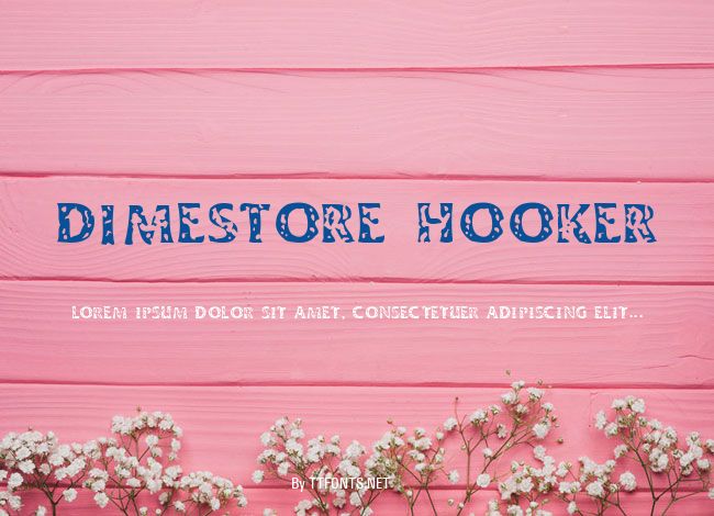 Dimestore Hooker example